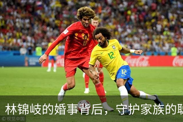 林锦岐的婚事背后，守护家族的聪明权谋